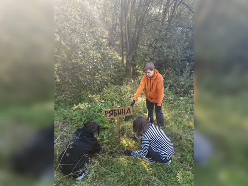 Посадка деревьев в Дендропарке Байкальского музея - 3 слайд