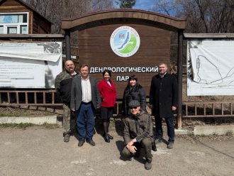 Посадка новых растений в дендропарке