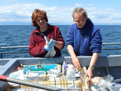 Ихтиологическая экспедиция на НИС «Профессор А. А. Тресков» - 1 слайд