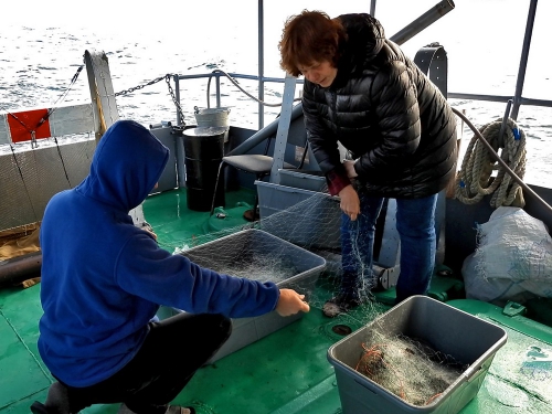 Ихтиологическая экспедиция на НИС «Профессор А. А. Тресков» - 3 слайд