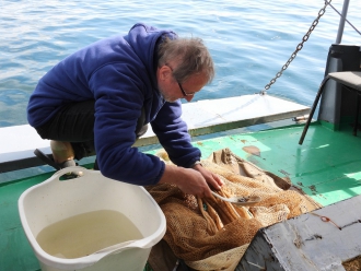 Миниатюра - 6 слайд