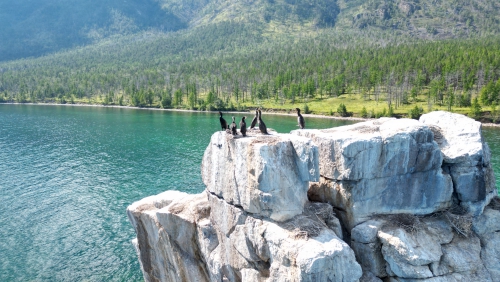 Орнитологическая экспедиция на НИС «Профессор А. А. Тресков» в 2025 году - 1 слайд