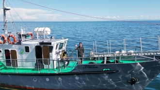 Миниатюра - 3 слайд