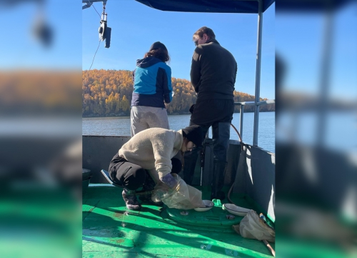 Экспедиция на НИС «Профессор А. А. Тресков» исследовала донные сообщества Байкала - 3 слайд