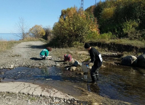 Экспедиция на НИС «Профессор А. А. Тресков» исследовала донные сообщества Байкала - 1 слайд