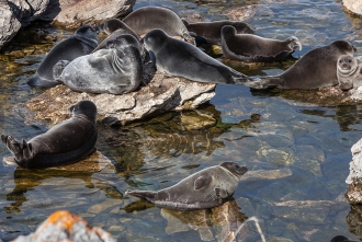 Миниатюра - 3 слайд