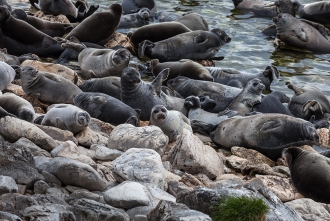 Миниатюра - 5 слайд