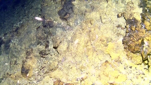 постер: Камера на глубине 200м (объект 4)
