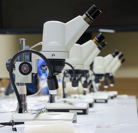 Мероприятия ко Дню науки в Байкальском музее