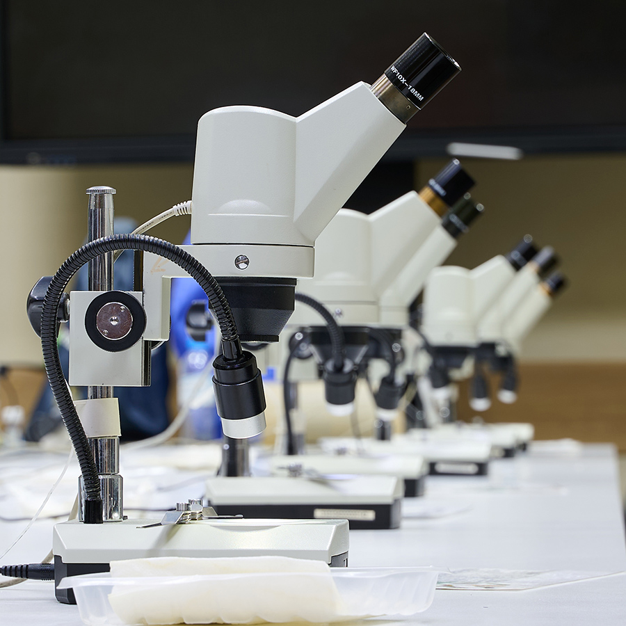 Мероприятия ко Дню науки в Байкальском музее - основной вид