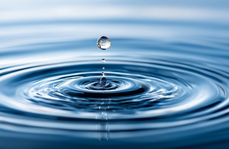 27 февраля состоится научный семинар посвящённый лаборатории гидрологии и гидрофизики ЛИН СО РАН