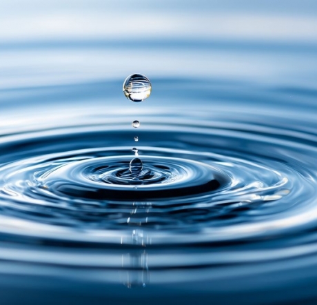 27 февраля состоится научный семинар посвящённый лаборатории гидрологии и гидрофизики ЛИН СО РАН