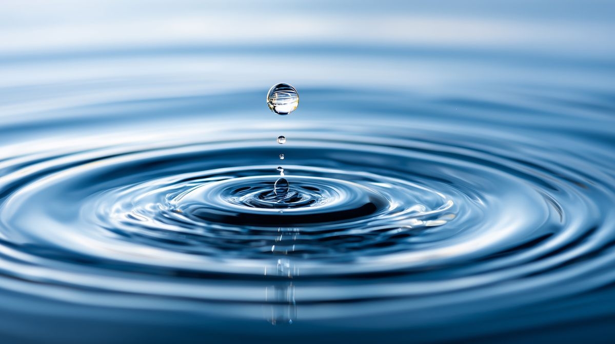 27 февраля состоится научный семинар посвящённый лаборатории гидрологии и гидрофизики ЛИН СО РАН - основной вид