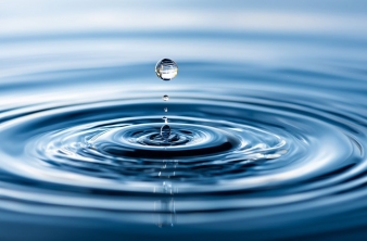 27 февраля состоится научный семинар посвящённый лаборатории гидрологии и гидрофизики ЛИН СО РАН