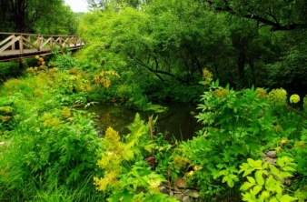 Дендрологический парк