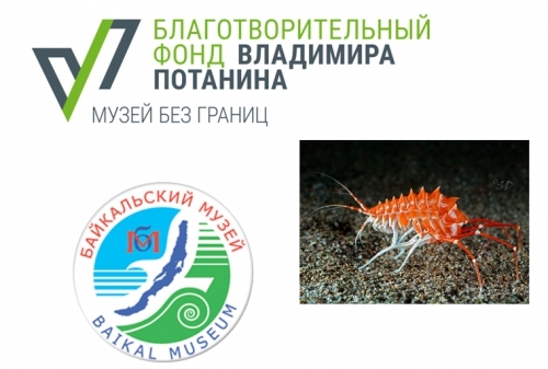 «Музей 4.0 программы «Музей без границ» Благотворительного фонда Владимира Потанина» - основной вид