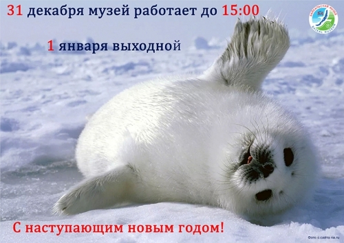 Режим работы 31 декабря и 1 января - основной вид