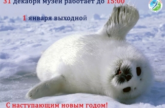 Режим работы 31 декабря и 1 января