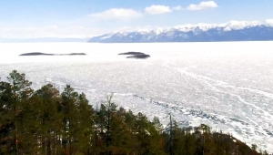 Экспедиция к Ушканьим островам - основной вид
