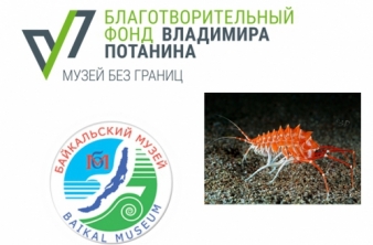 Продолжение работ «Музей 4.0 программы «Музей без границ» Благотворительного фонда Владимира Потанина»