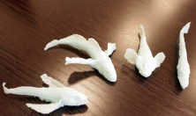 миниатюра - Проект по созданию 3D-моделей байкальских эндемиков - дополнительный вид 3