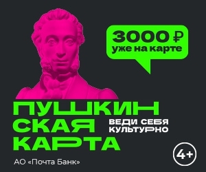 Пушкинская карта - основной вид