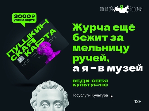 Пушкинская карта - основной вид