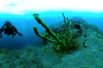 C 01.05.2022 в музее открывается новая экспозиция «Тайны байкальских глубин. Загадки биоразнообразия»