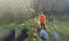 миниатюра - Посадка деревьев в Дендропарке Байкальского музея - дополнительный вид 1