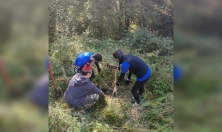 миниатюра - Посадка деревьев в Дендропарке Байкальского музея - дополнительный вид 2