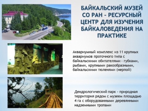 Взаимообучение городов по теме «Байкаловедение» - основной вид