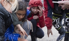 миниатюра - 206 учащихся школ города Иркутска прошли практикум по байкаловедению в Байкальском музее - дополнительный вид 3