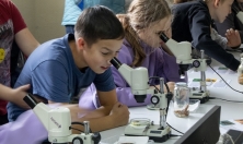 миниатюра - 206 учащихся школ города Иркутска прошли практикум по байкаловедению в Байкальском музее - дополнительный вид 11