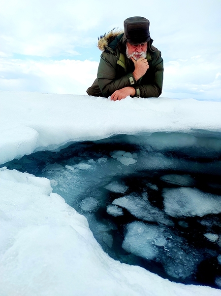 C юбилеем главного научного сотрудника - исследователя нерпы Евгения Аполлоновича Петрова! - основной вид