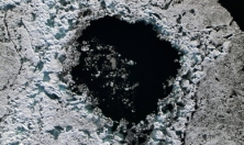 миниатюра - Семинар Применение беспилотных воздушных судов в изучении экологии байкальской нерпы - дополнительный вид 3