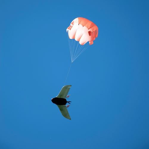 Семинар Применение беспилотных воздушных судов в изучении экологии байкальской нерпы - основной вид