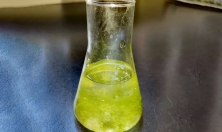 миниатюра - Лекция и практическое занятие «Роль спирогиры как идентификатора качества воды озера Байкал» для учеников образовательного комплекса «Точка будущего» - дополнительный вид 8