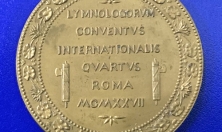 миниатюра - Ко дню рождения Г.Ю. Верещагина (1889 – 1944) - дополнительный вид 2