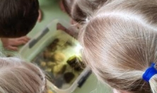 миниатюра - Выездные занятия по байкаловедению для дошкольников - дополнительный вид 6