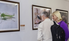 миниатюра - ТАЙНЫ БАЙКАЛЬСКИХ ГЛУБИН - дополнительный вид 1