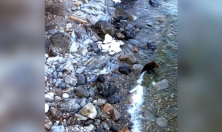 миниатюра - Открытие навигации на Байкале - дополнительный вид 2