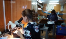 миниатюра - Байкальский музей стал победителем грантового конкурса фонда «Озеро Байкал» - дополнительный вид 1