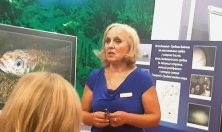 миниатюра - «Педагогические встречи» в Байкальском музее СО РАН - дополнительный вид 8