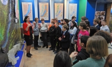 миниатюра - В рамках акции «Наука рядом» и в честь Всемирного дня науки - дополнительный вид 1