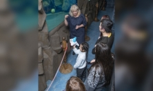 миниатюра - Новогоднее желание восьмилетней жительницы Сахалина о поездке на Байкал - дополнительный вид 9