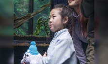 миниатюра - Новогоднее желание восьмилетней жительницы Сахалина о поездке на Байкал - дополнительный вид 10