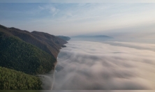 миниатюра - Навигацию 2024 года открыла экспедиция по учету численности нерпы - дополнительный вид 3