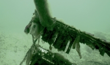 миниатюра - Открытие фотовыставки «Невидимый мир пластисферы озера Байкал» - дополнительный вид 3