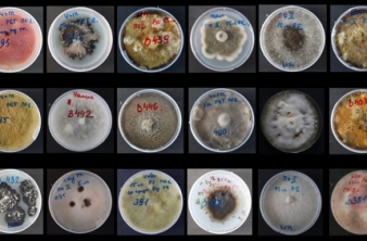 ВНИМАНИЕ! КОНКУРС!