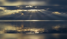 миниатюра - ИХТИОЛОГИЧЕСКАЯ ЭКСПЕДИЦИЯ БМ, июль 2024 г. - дополнительный вид 10